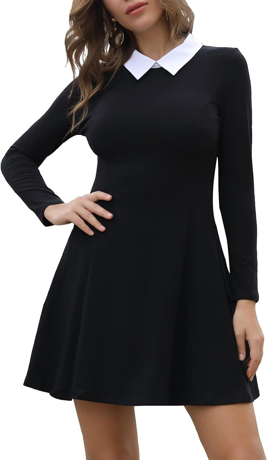 Women's Long Sleeve Casual Fall Dress 2025 with Peter Pan Collar - A-Line Fit and Flare Skater Style
